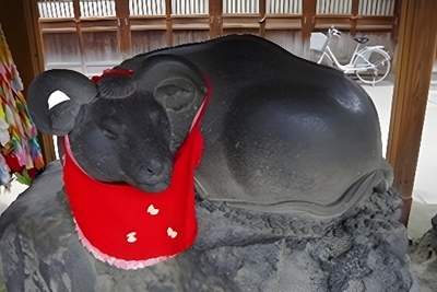 59iu6Z5vYaIAoA95hqQ6.jpeg?w=940&h=940