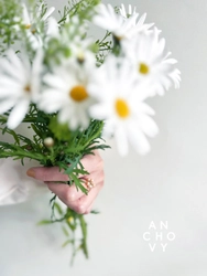 カリフォルニア発「ANCHOVY」のジュエリーが日本発売1周年！ 限定ジュエリー「フラワーパールリング」を4月27日まで予約販売