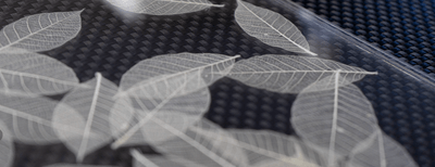 2枚のアクリル板で挟んだスケルトンリーフ