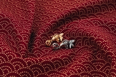 5Dqw8XLUsWa7IQNPsnTx.jpeg?w=940&h=940