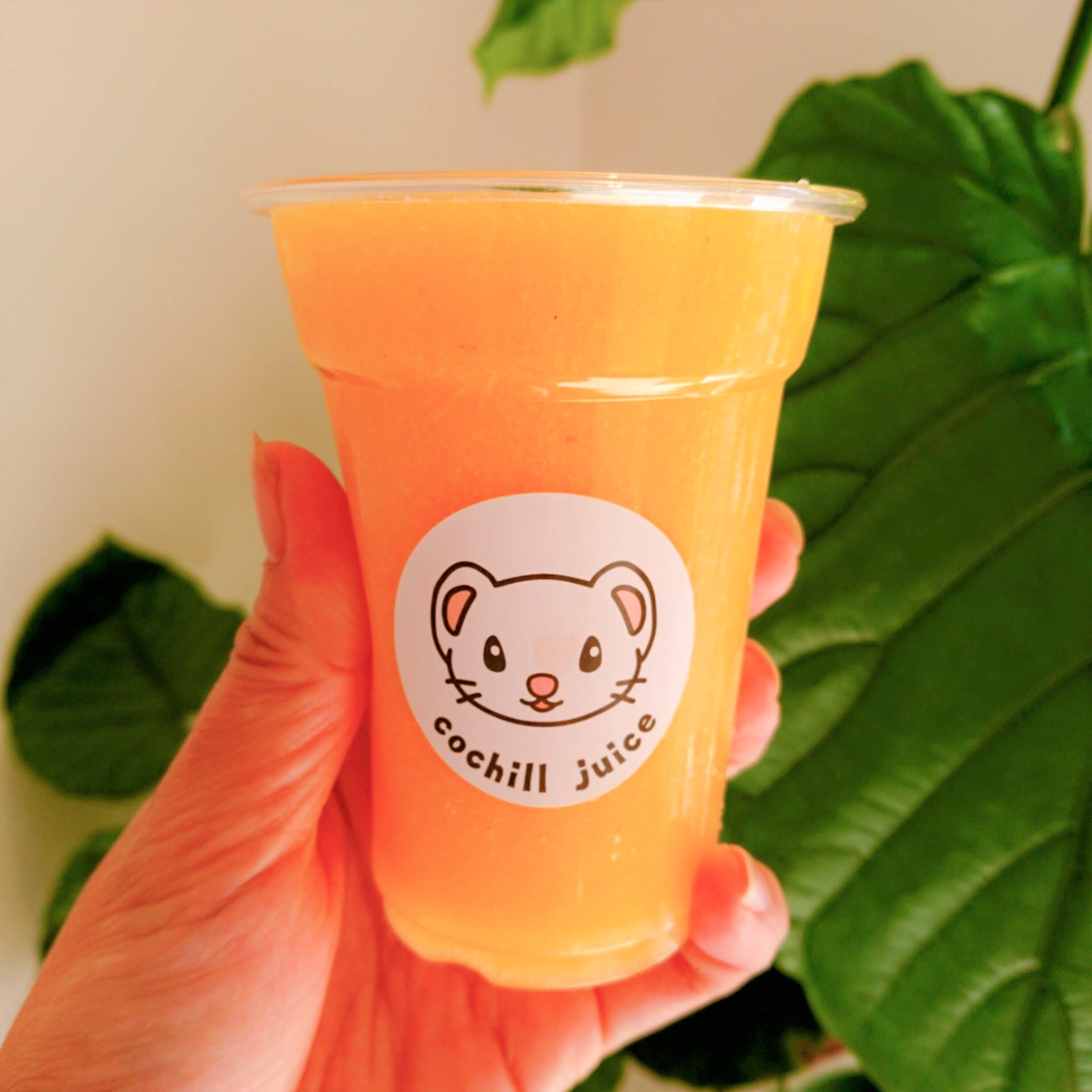 【新発売】秋の深まりを告げるフルーツジュース「柿&りんご」の販売を開始しました。