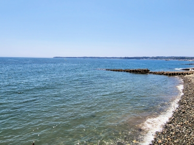 5E0HsKvFc2OimHIGFGfV.jpg?w=940&h=940