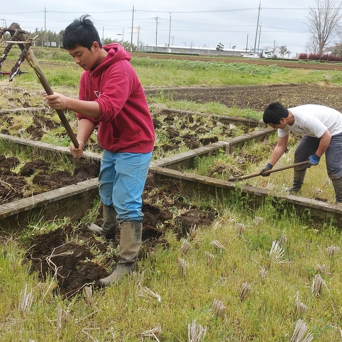 日本農業実践学園　実習風景3