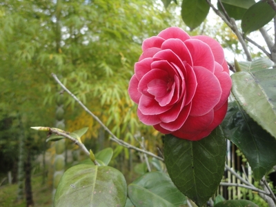 5ESgY3gwyKKF3nLD2lR5.jpg?w=940&h=940