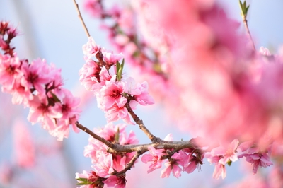 5Ekc5027SFrZX9PHFeBl.jpg?w=940&h=940