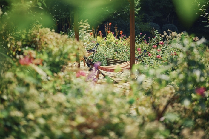 森の中のハンモック(四季の庭-いやしの庭-)