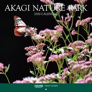 5F4kZcCjaH1MuGS9nKJE.jpg?w=940&h=940