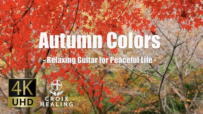 「懐かしい気持ち」が生み出すメリットとは!美しい紅葉動画と音楽でリフレッシュタイム。ストレス解消方法は4K動画で!