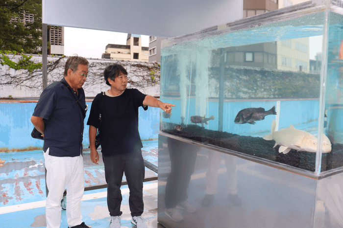 プールとは別にネズミフグとチヌ(クロダイ)、プラチナニシキゴイが泳ぐ水槽を見つめる(左から)山本准教授と島袋さん