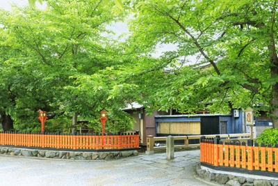 5JcvcymewuT5llvw5iA2.jpg?w=940&h=940