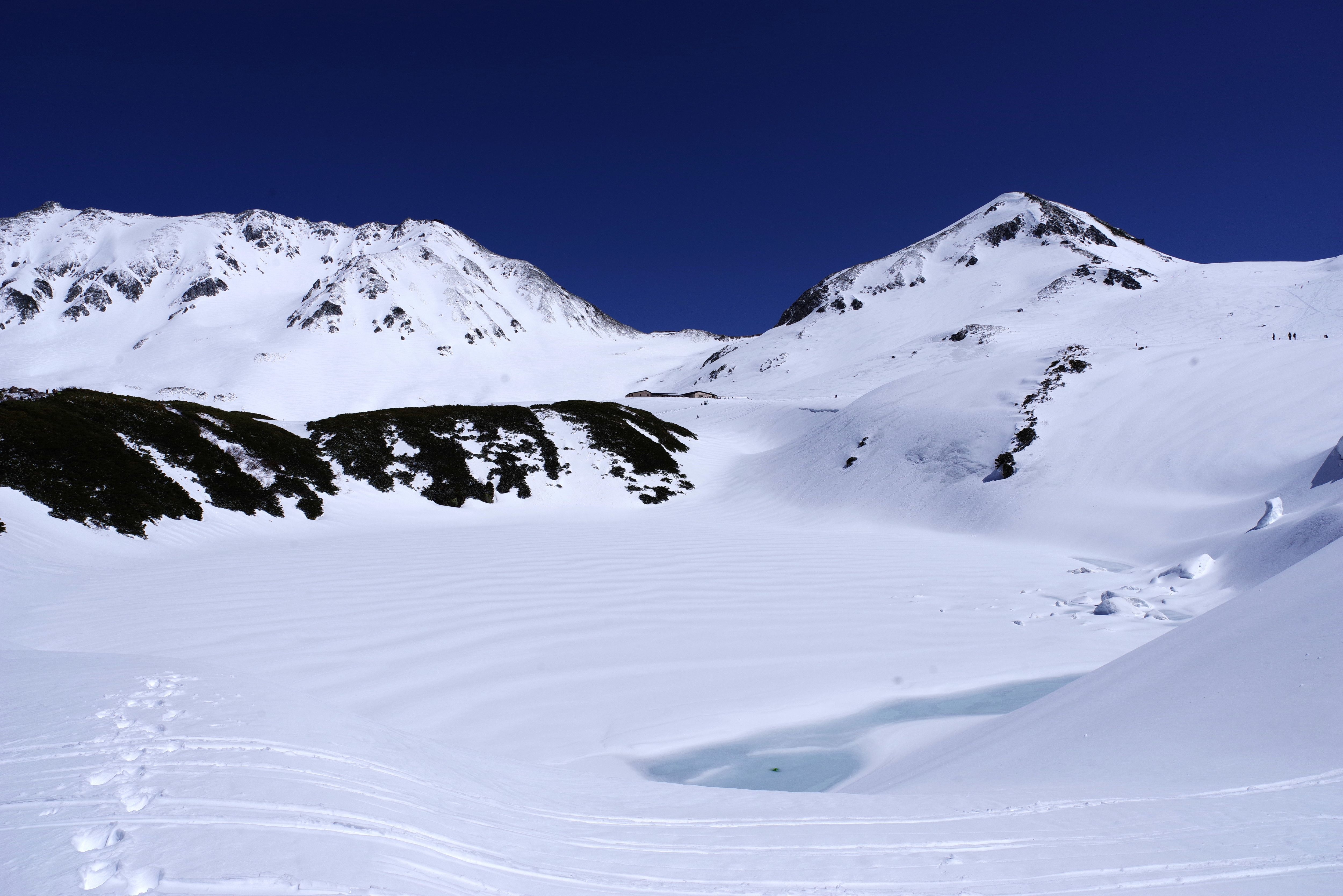 立山黒部アルペンルート」に初夏の訪れ 2026年5月12日(火)より「みくり