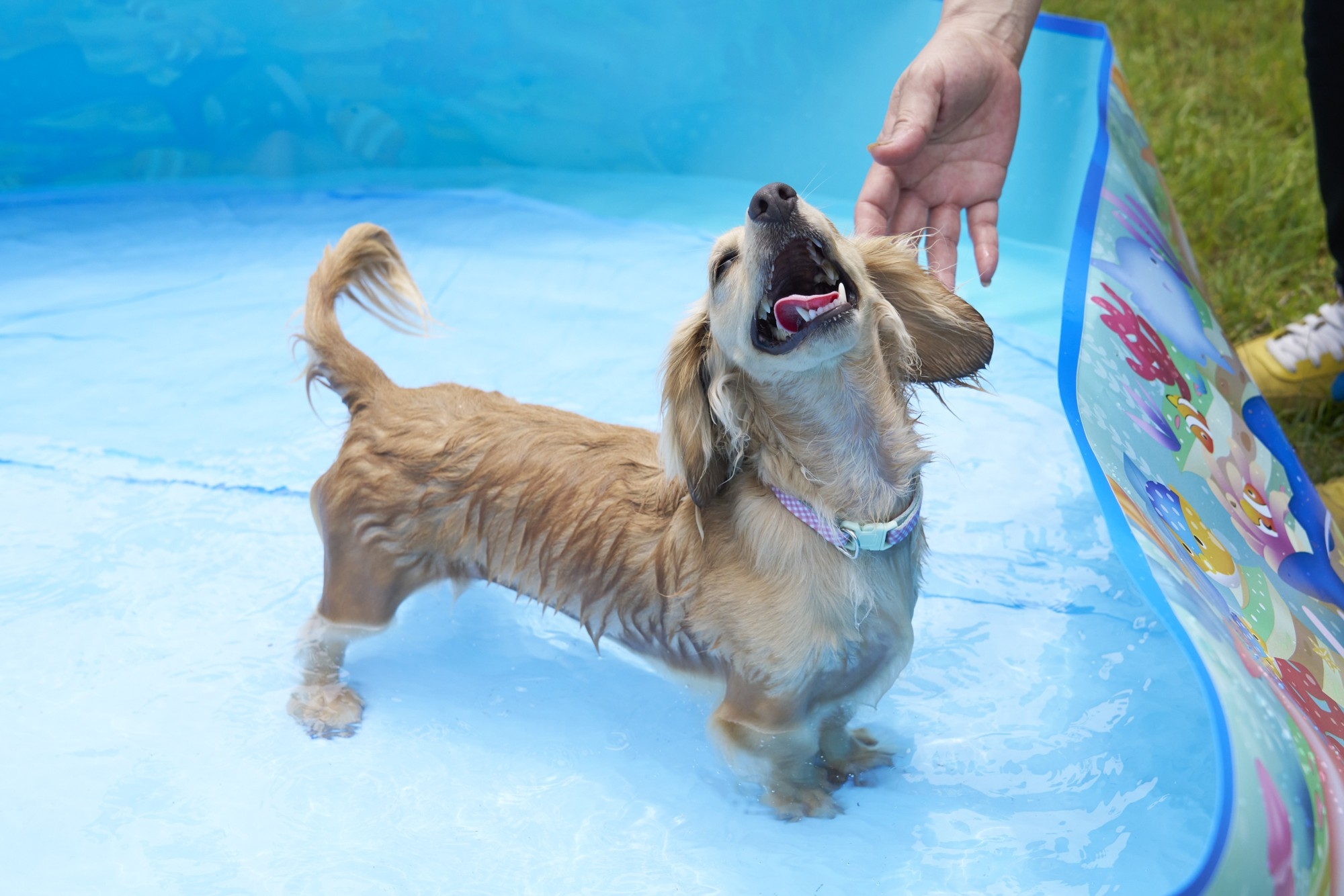 温泉でも、冷水でも、気温に合わせてお選びいただけます!