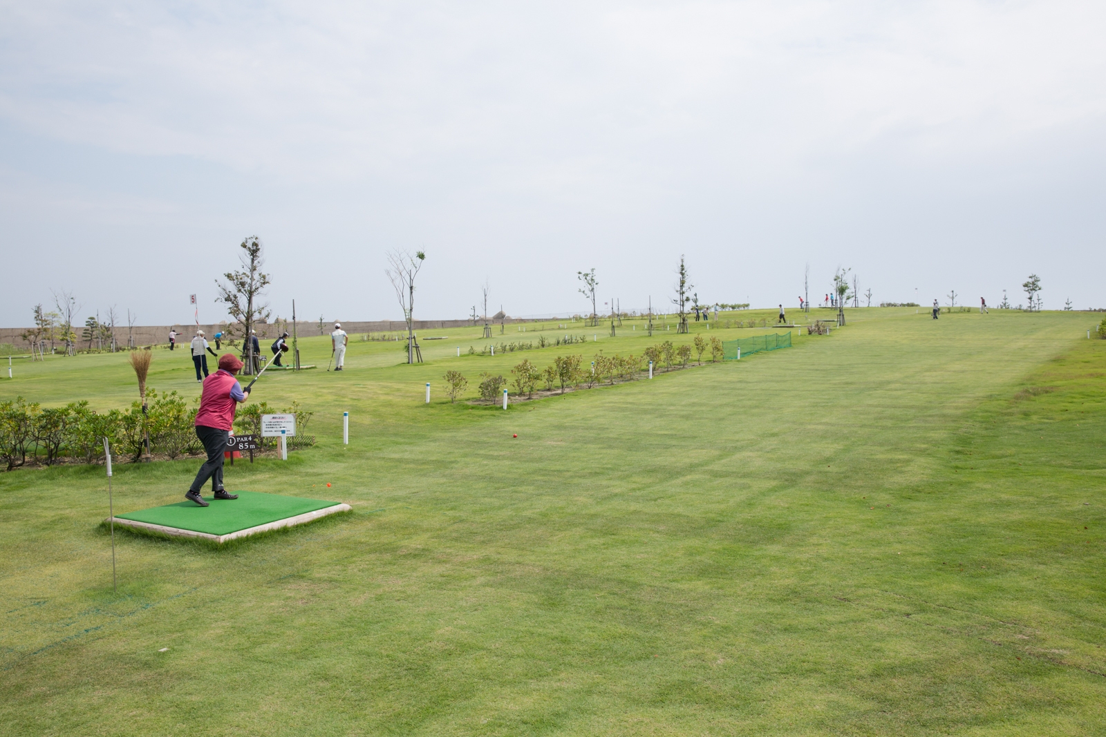 オリジナル堆肥を納め芝生が良く育つゴルフ場