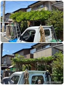 庭木の剪定・草刈り