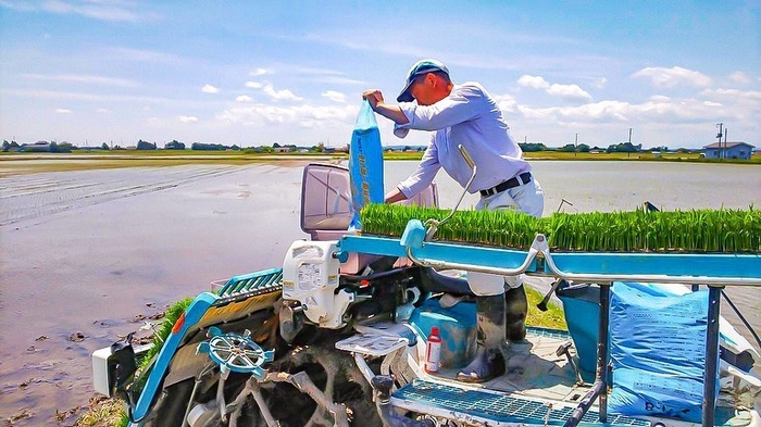 宮城県大崎市田尻町での米作りの様子