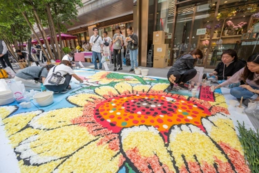 25,000本のカーネーションで描く花の路上絵「インフィオラータ in お台場」、ただいま花絵制作参加者100名募集中！