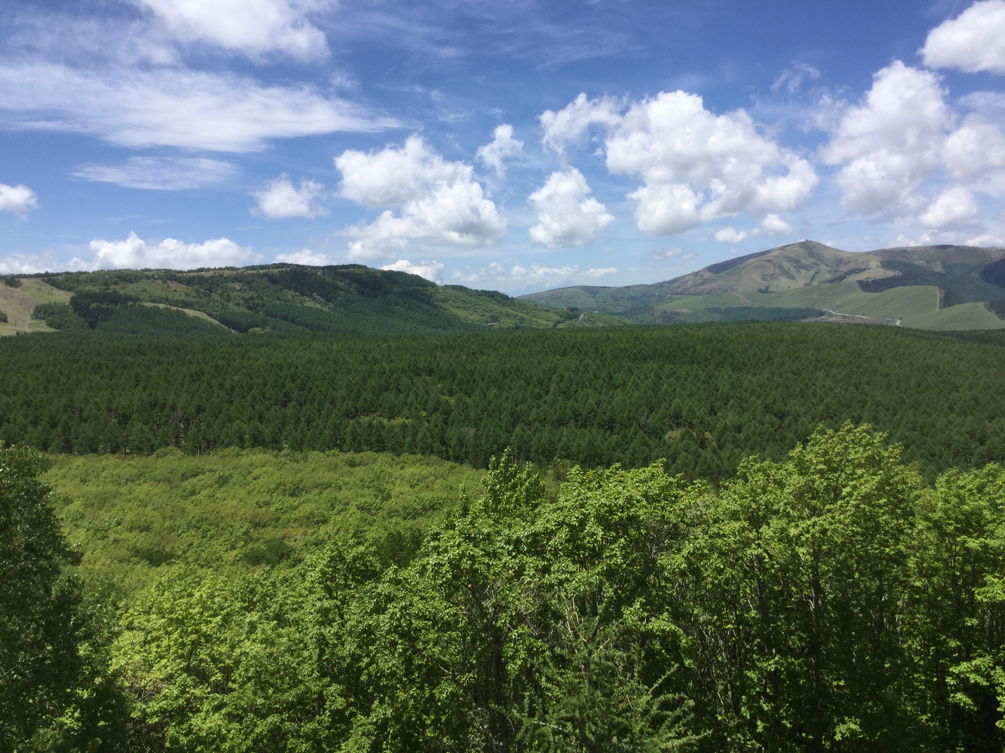 令和2年度 知財功労賞「経済産業大臣表彰」を受賞