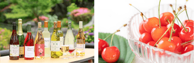 5RrpnwPmoaGjs5pjnTNo.png?w=940&h=940