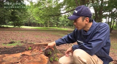 5S3uRYBXj9bWaSBfn27O.jpg?w=940&h=940