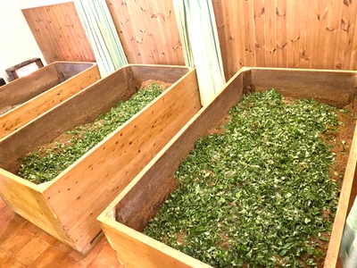 5SUF2nzqxpcVSb6tZCKD.jpeg?w=940&h=940