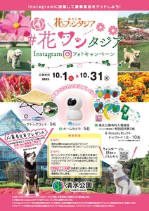 花ワンタジア概要