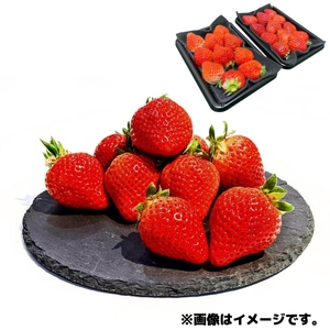 5TIbSEP05fcT9Sopakzt.jpg?w=940&h=940