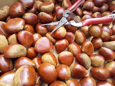 5TV7jofJIntbOtahdLPM.jpg?w=940&h=940