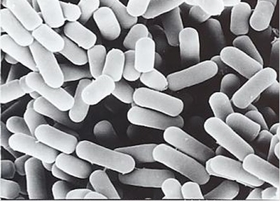 5TYB3peaxNujASoKj5gd.jpg?w=940&h=940