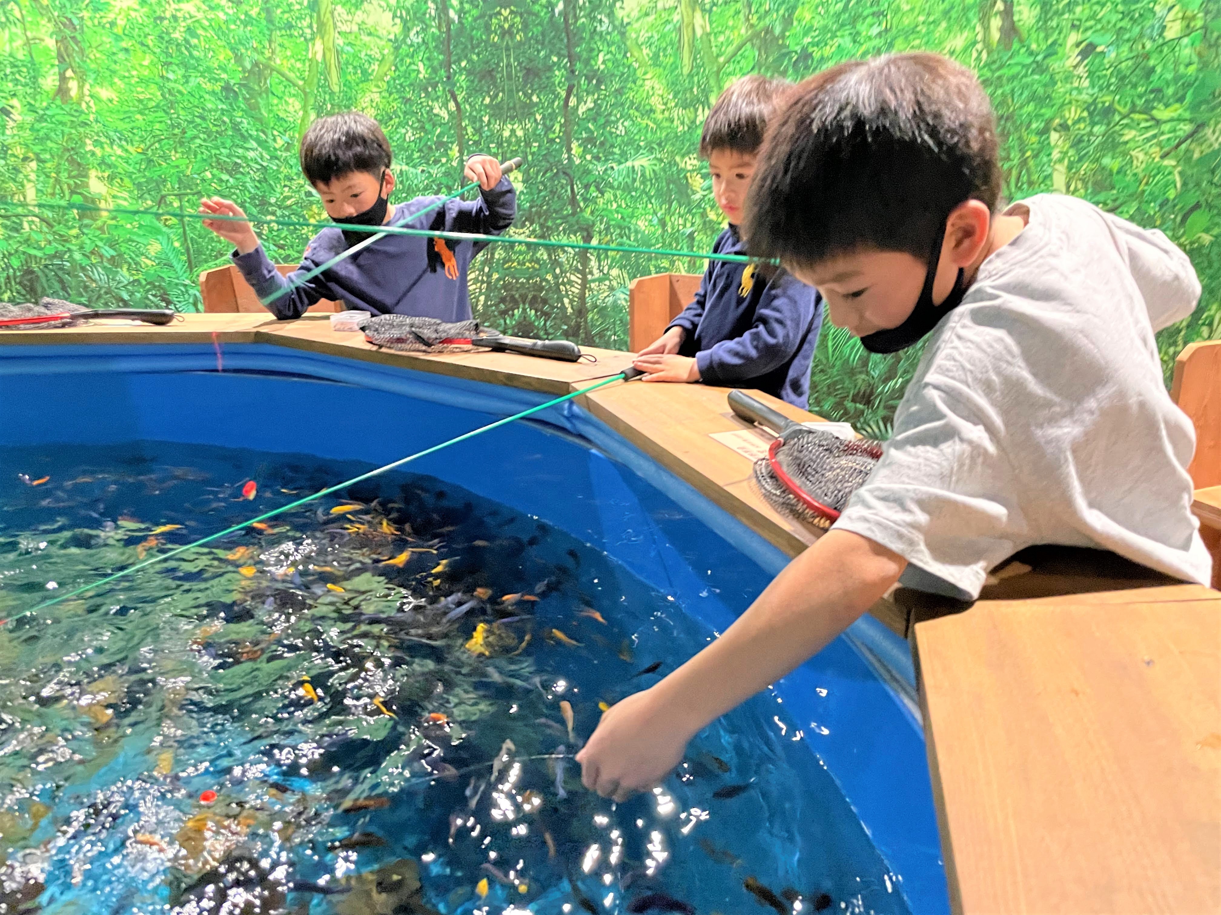 アマゾンの熱帯魚が釣れる人気の屋内釣堀施設 「釣って見つけるぼう