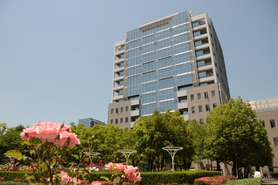 5UbtcXPjxMTZitoWLHqv.jpg?w=940&h=940