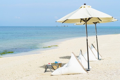 5VEXEklSIYFcvV5eDvj7.jpg?w=940&h=940