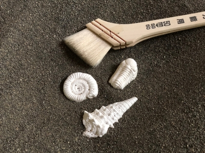 5WIYJKGsqwA8wlj6HZfw.JPG?w=940&h=940