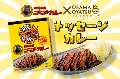 メッセージ入りゴーゴーカレー「おつカレーさま」