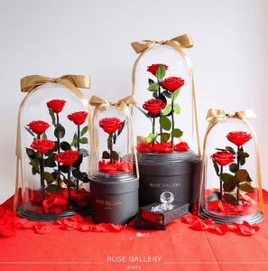 5XX4NUAXY2BBnJjfQyom.png?w=940&h=940