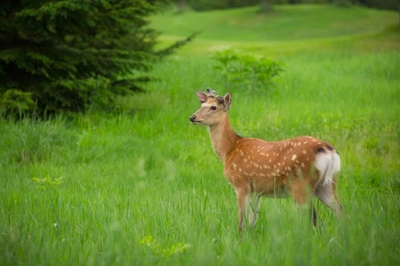 5Xwz77NyRhoVSJWY6M1T.jpg?w=940&h=940