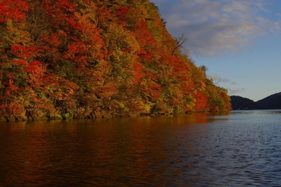 5aAVJNRfci8yhBqPXoF6.jpg?w=940&h=940