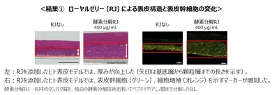 5aQexoIUeKKlni8noMx3.jpg?w=940&h=940
