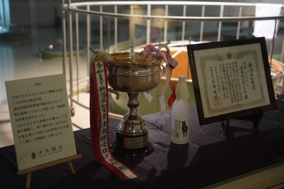 5bt1f0ltO06peUn8qF43.jpg?w=940&h=940