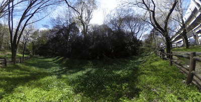 5dD6VbCvk32s2DsISTuX.png?w=940&h=940