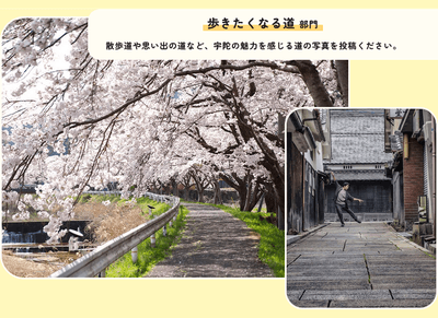 5dFWWcXtngcaFJq3Jzwd.png?w=940&h=940