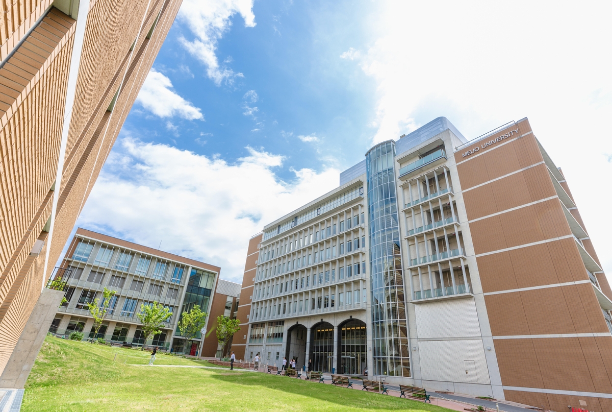 名城大学 (理工学部 農学部・薬学部 ) 14〜23年分 名城大学（情報工学部・理工学部・農学部・薬学部）｜「赤本」の