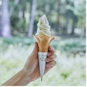 5eBJJpJwQ6jo11iRqLtA.jpeg?w=940&h=940