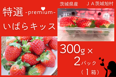 5eVucK4e058MKhcaCiQe.png?w=940&h=940