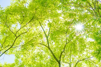 5eajjAgxnM8miefdDb7y.jpg?w=940&h=940