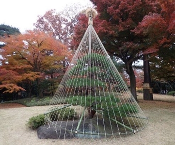 5ed40hRFWZ9Dd3gp8Fux.jpg?w=940&h=940