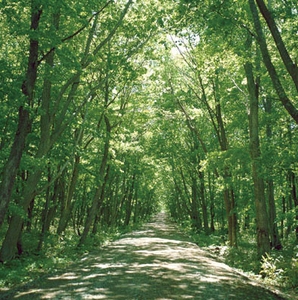 5etue6KIZs1HtDFLL31g.jpg?w=940&h=940