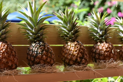 5fBCkUvwipdA2NI8mrc3.jpg?w=940&h=940