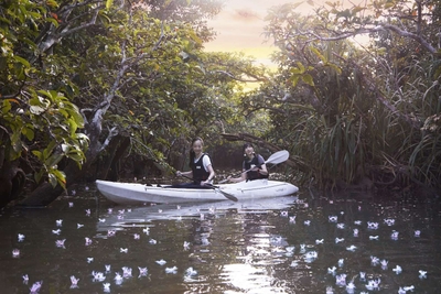 5fYOoTbQvfQEQ5HCYABY.jpg?w=940&h=940