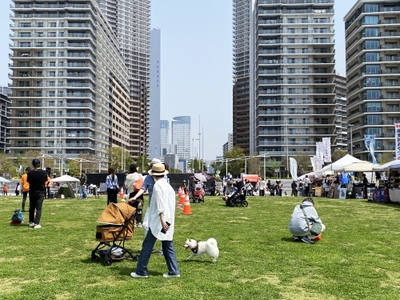 5fi1pbOI27TstGusrRaE.jpg?w=940&h=940