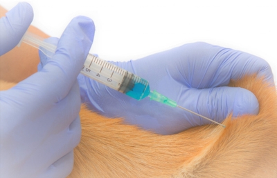 5gn5lWp3AdF9x1lzfuCv.jpeg?w=940&h=940